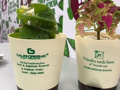 Plant wedding card decore