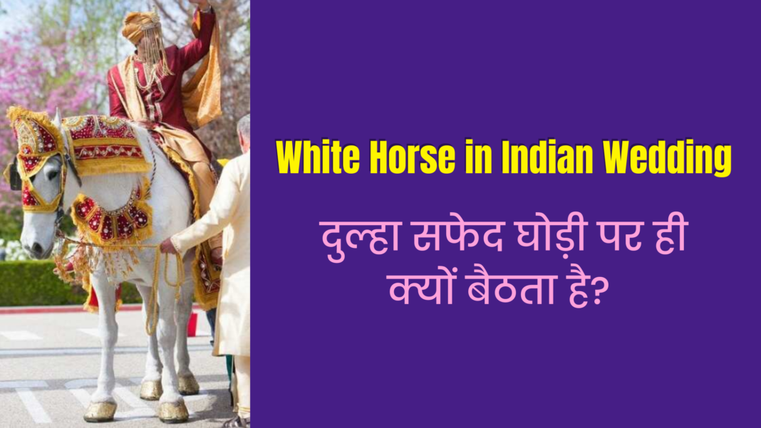 White Horse in Indian Wedding