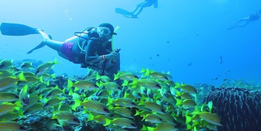 Scuba Diving At Kalpeni Island