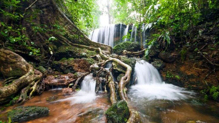 Agumbe, Karnataka India