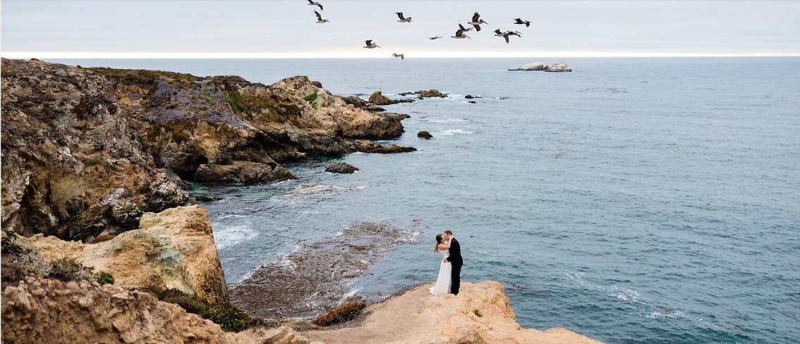 Redwood Forest Elopement Settings